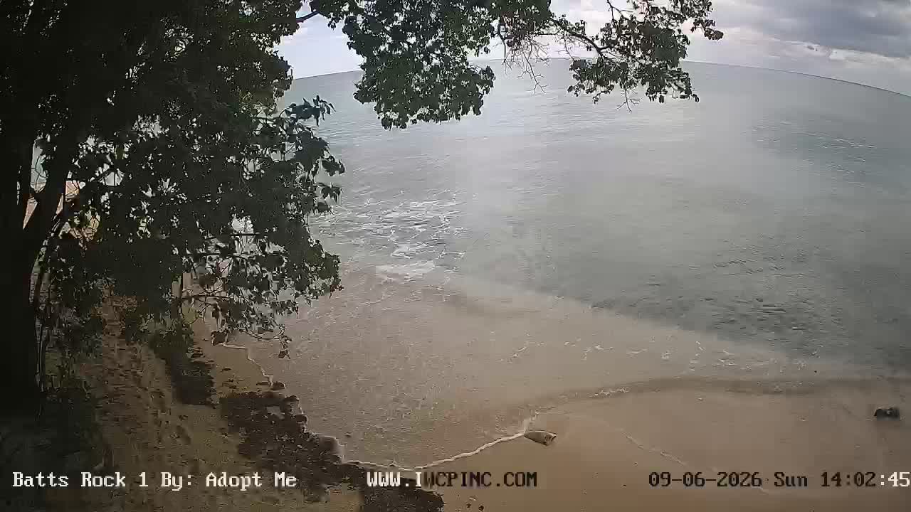 View from the Batts Rock camera